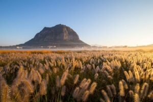 type1 산방산의 아침 김봉두 t5shda mały