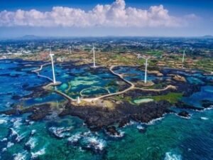 type1 제주 바다 박동철 ef8yra mały