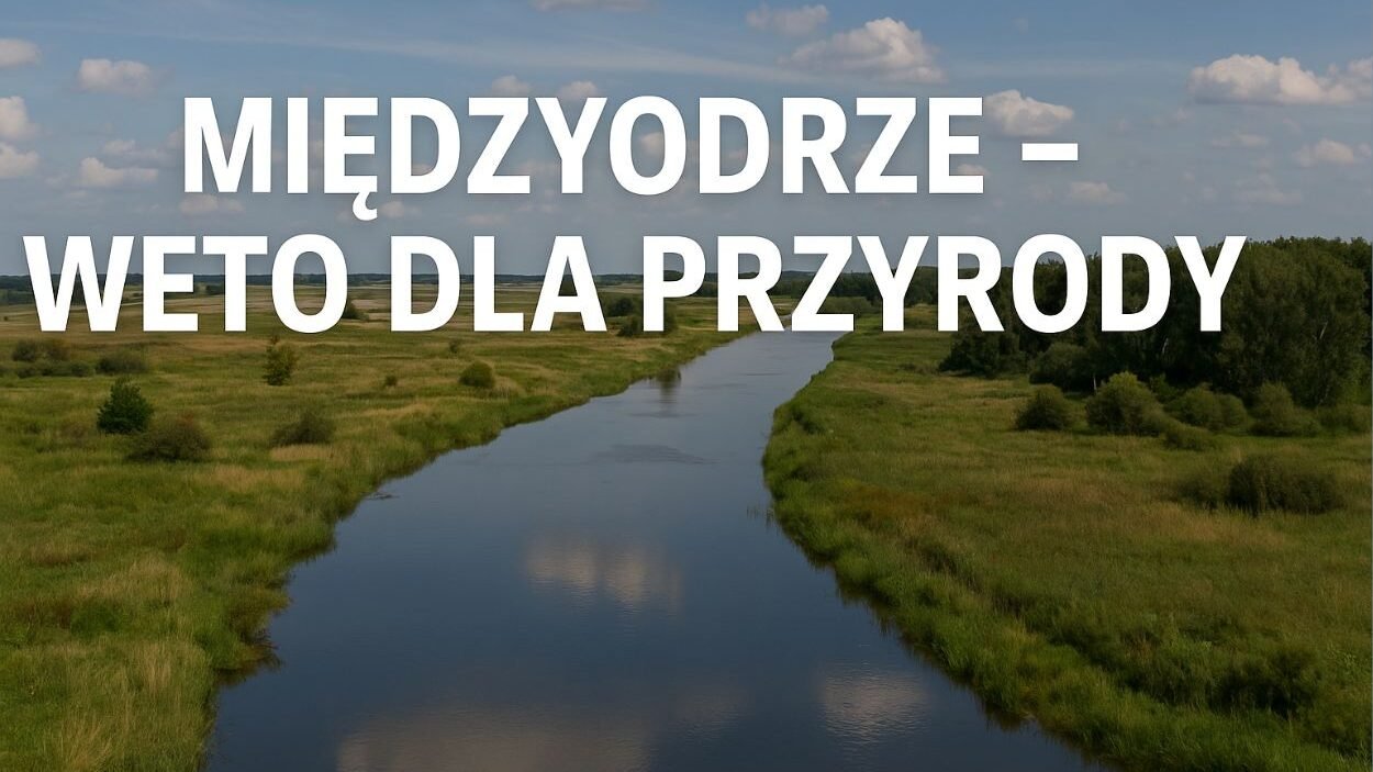 weto pryzdenta dla przyrody