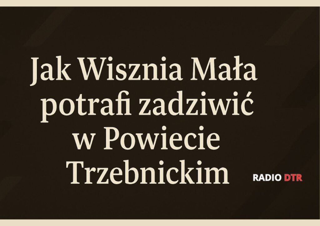 wisznia mala i demokracja w jej wykonaniu