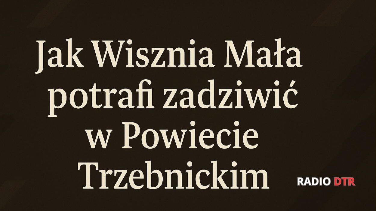 wisznia mala i demokracja w jej wykonaniu