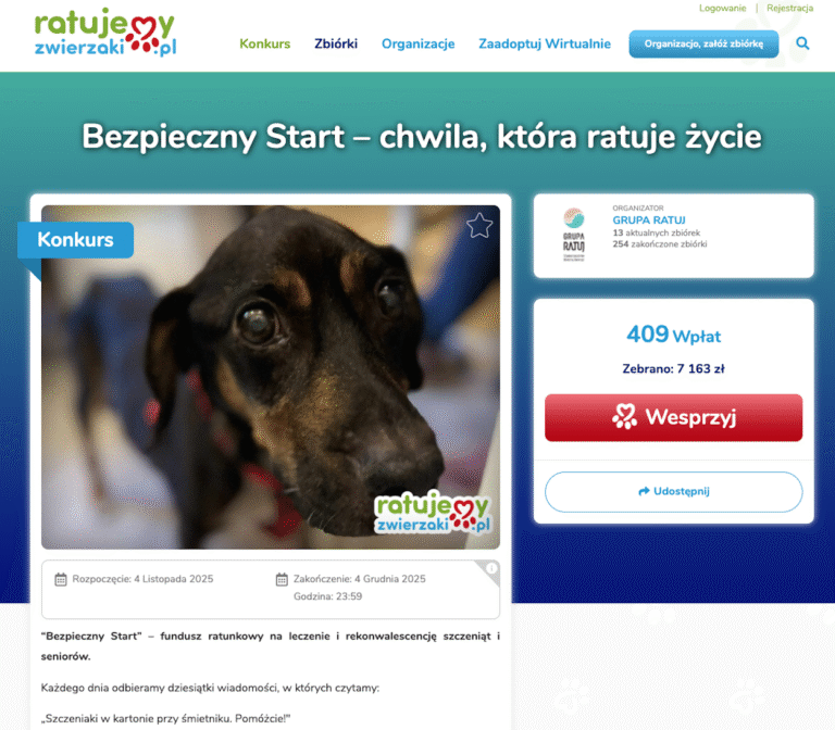 Bezpieczny Start – fundusz ratunkowy dla tych, którzy nie mają głosu