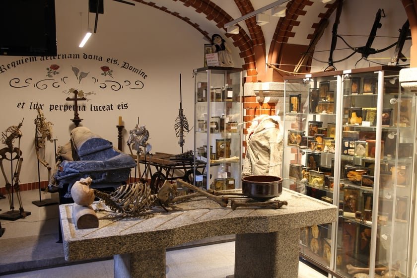 muzeum medycyny sadowej archwumumw1gg