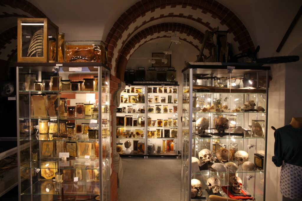 muzeum medycyny sadowej archwumumw2