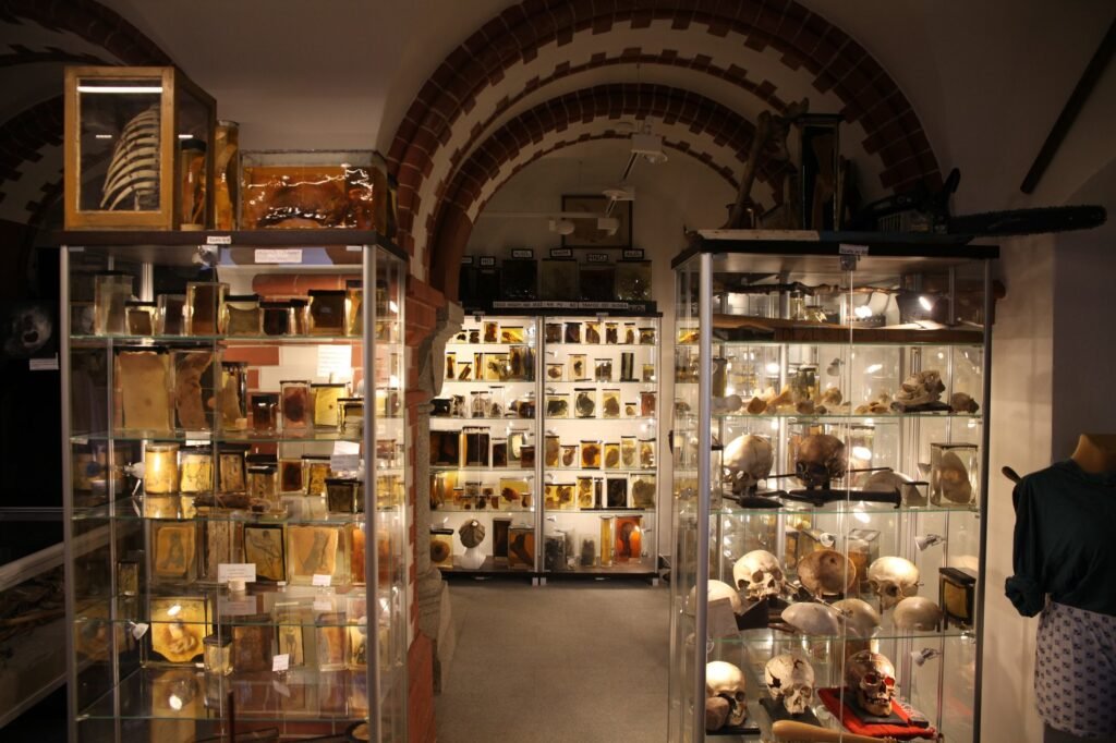 muzeum medycyny sadowej archwumumw2