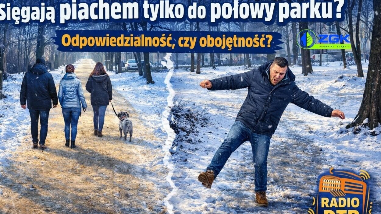 zgk i park w obornikach sl