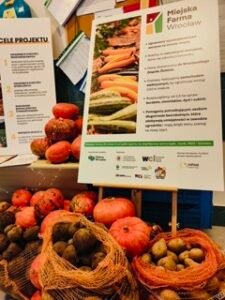 img20241128134646 mały