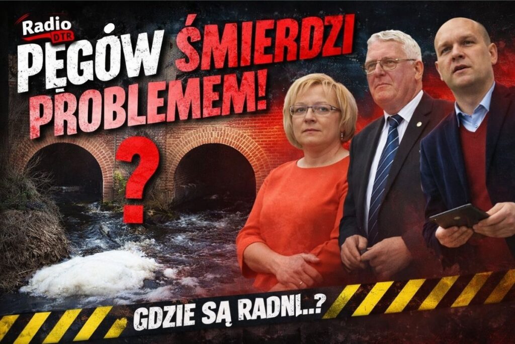gdzie sa radni pegowa