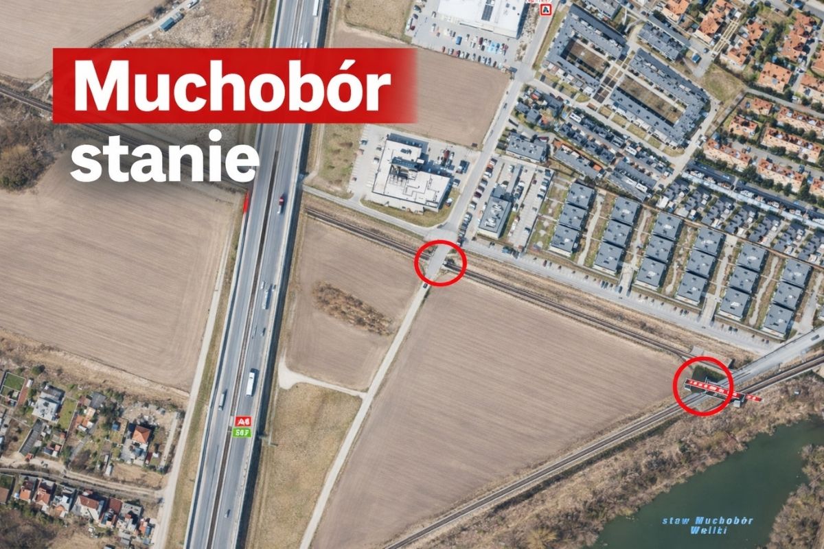 muchobur stanie czy nie stanie