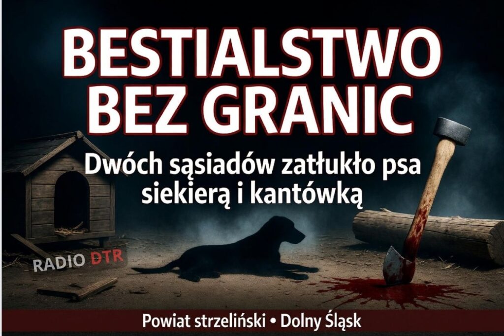 pies i sadysci