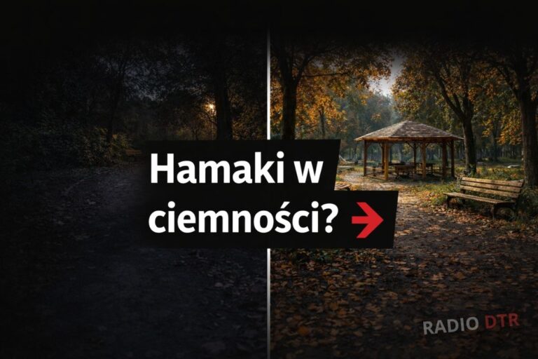 Rewitalizacja czy dekoracja? Mieszkańcy pytają o sens zmian w parku