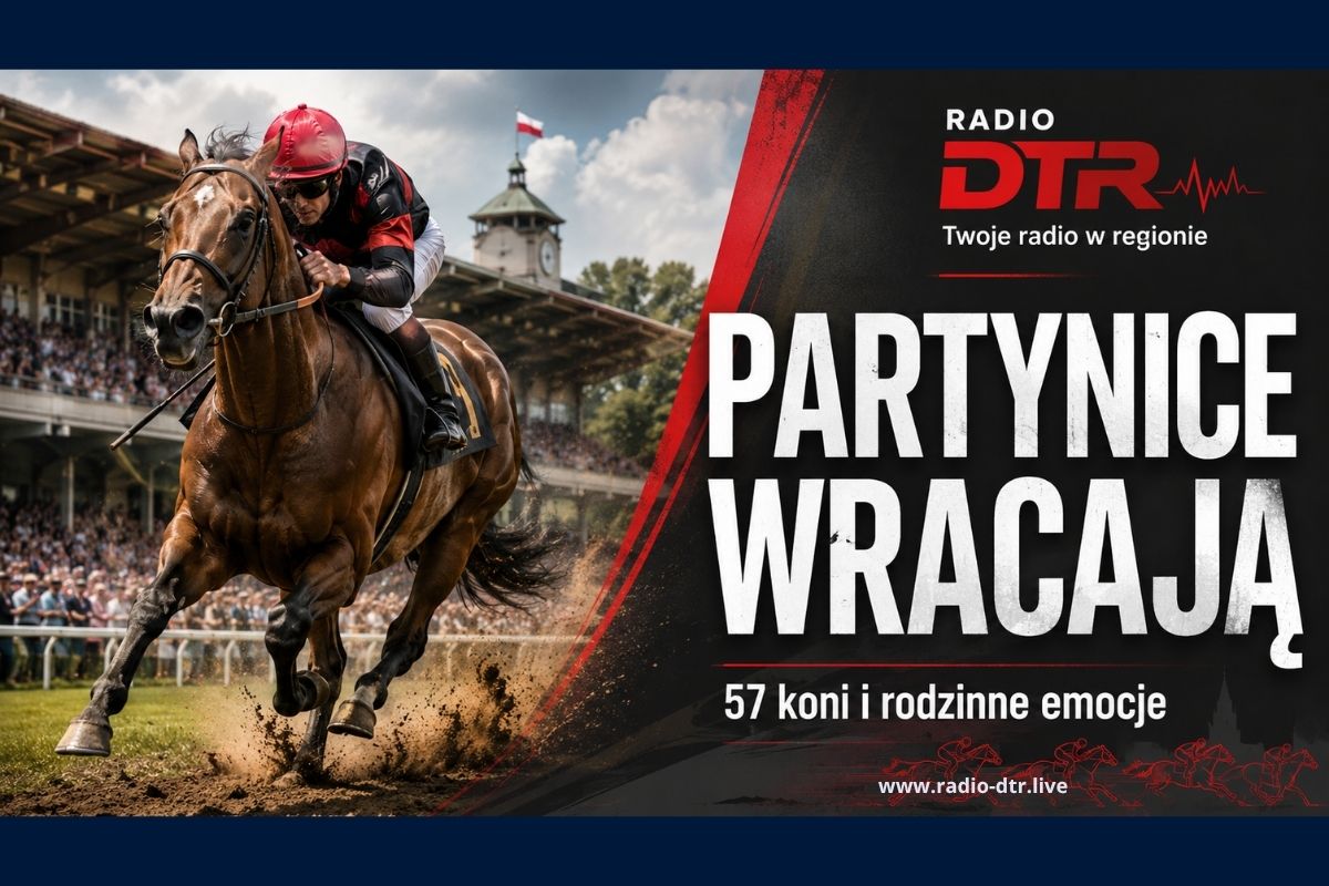 partynice i wyscigi konne