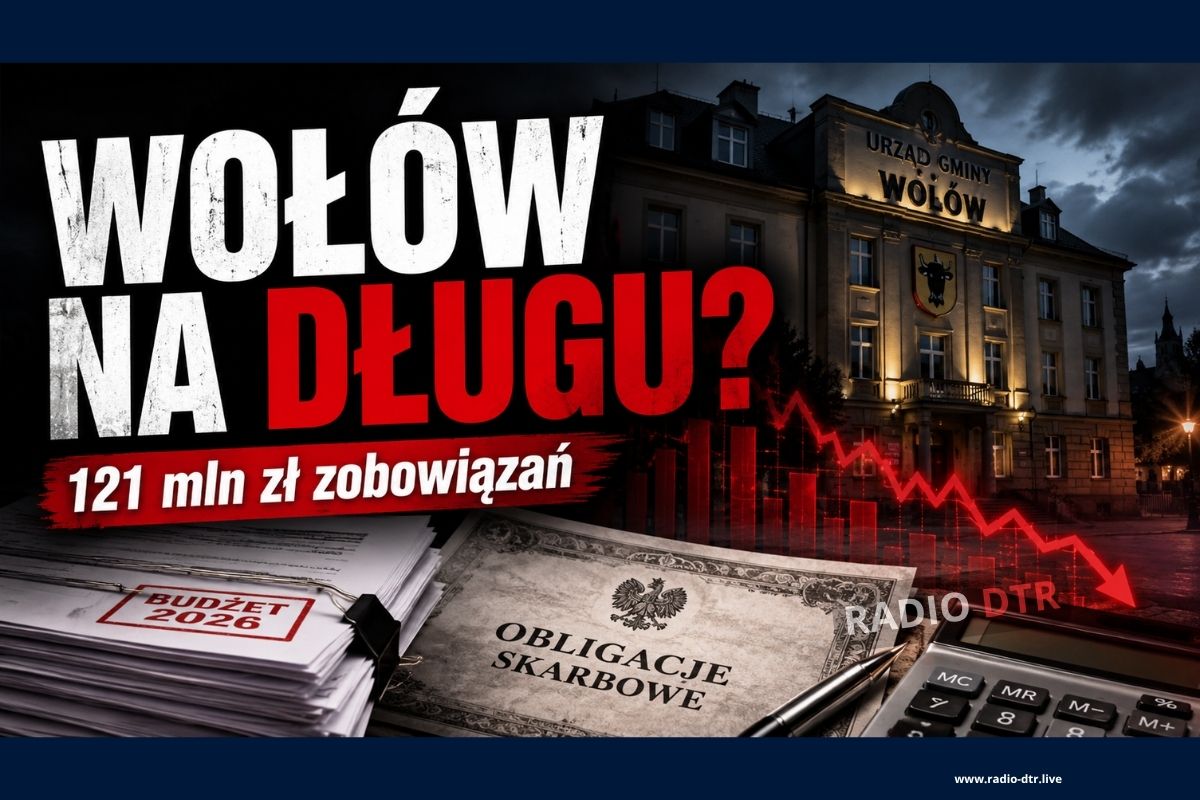 wolow tonie w dlugach