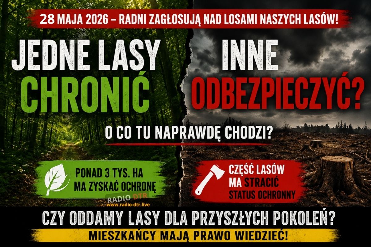 wycina i ochrona lasow po co