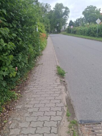 1000009636