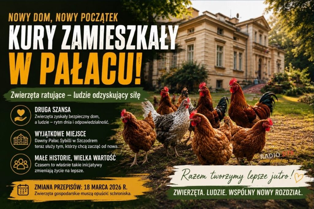 Kury zamieszkały w pałacu. Pomagają ludziom zacząć od nowa