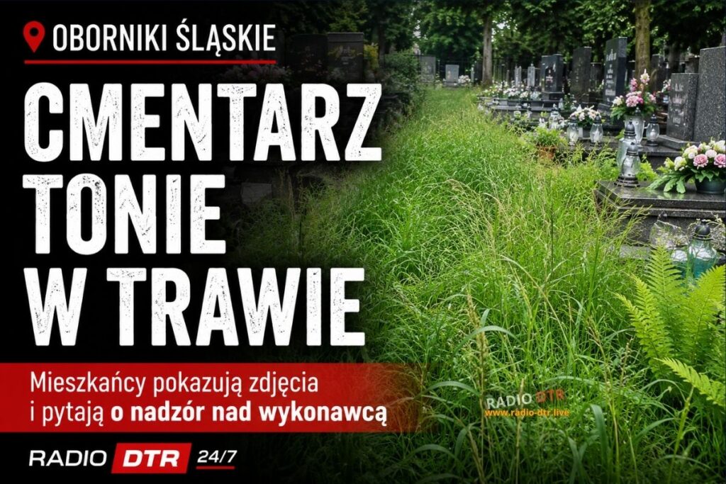 Trawa po kolana, chwasty między grobami. Tak wygląda dziś cmentarz w Obornikach Śląskich