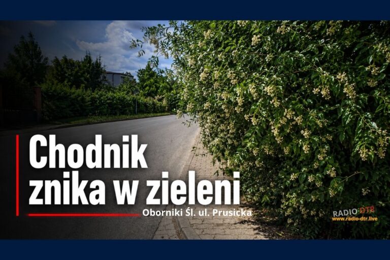 ul prusicka w obornikach sl