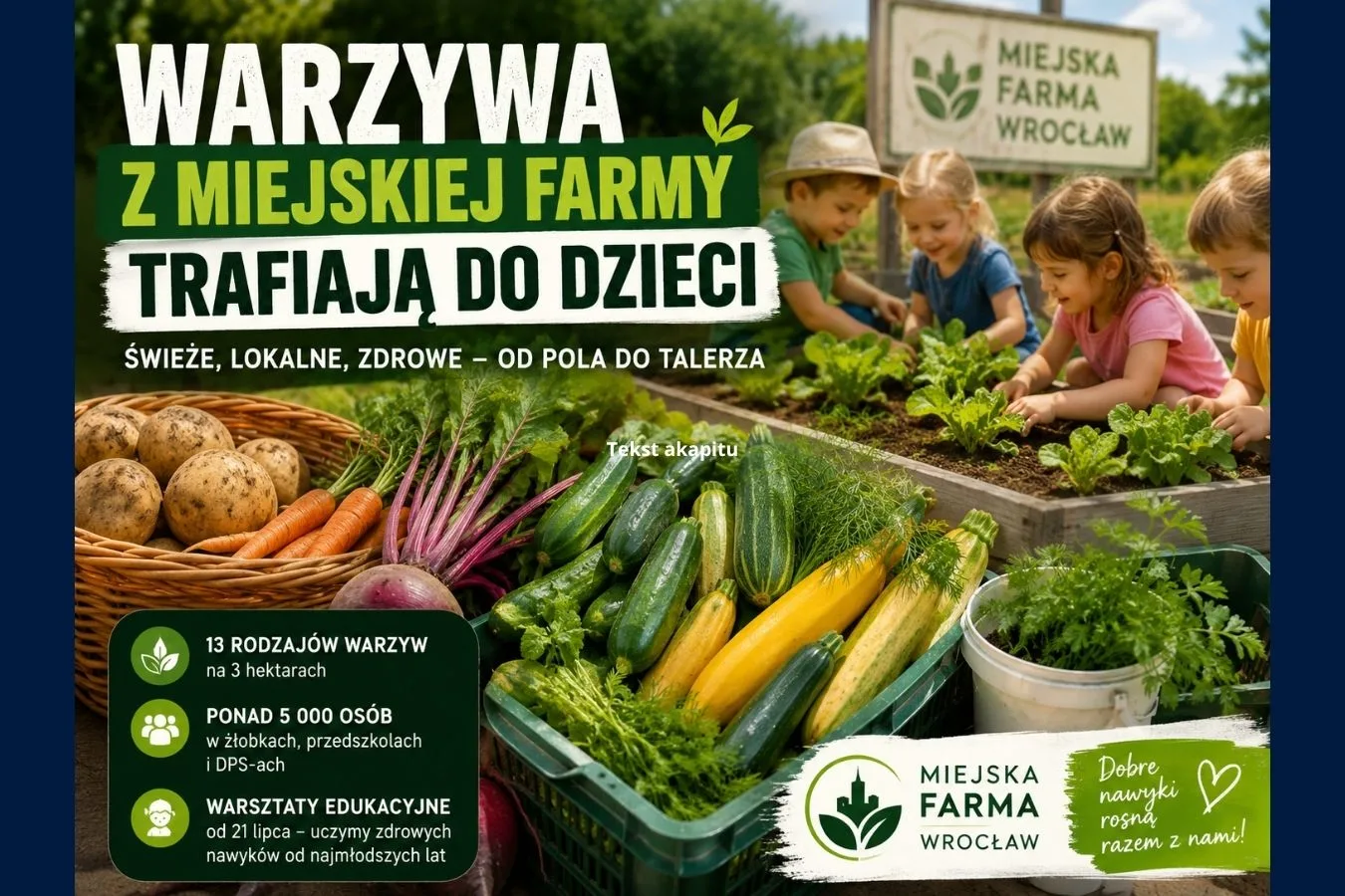 ilustracja do artykulu warzywa z miejskiej farmy