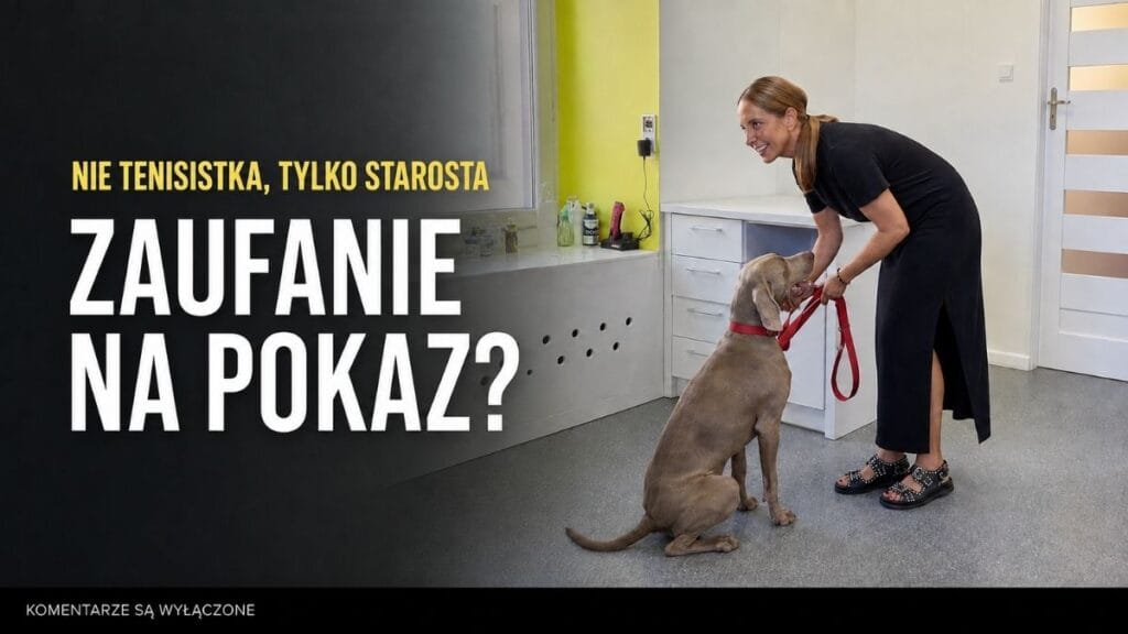 Zaufanie buduje się razem. Komentarze prosimy zachować dla siebie
