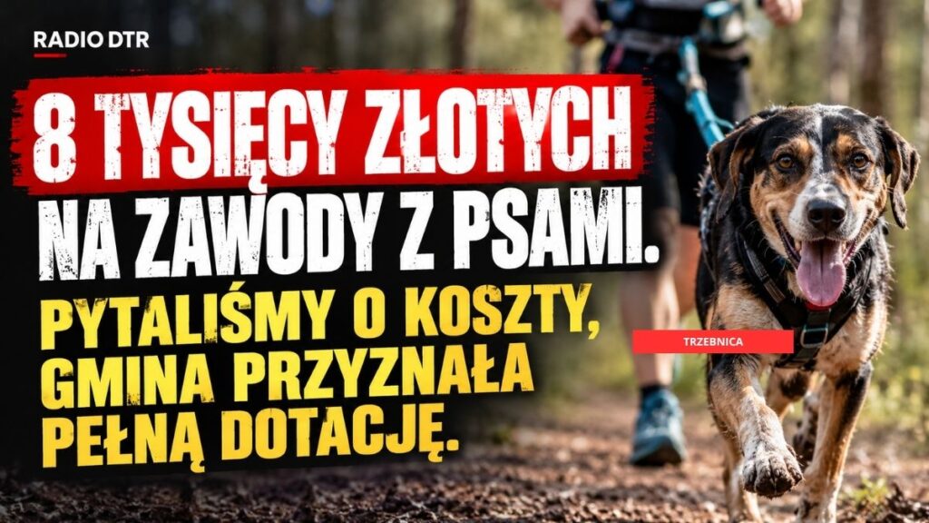 Pytaliśmy o 8 tysięcy. Gmina przyznała 8 tysięcy. Dokumenty pokazują, jak Trzebnica rozpatrzyła uwagi do dotacji