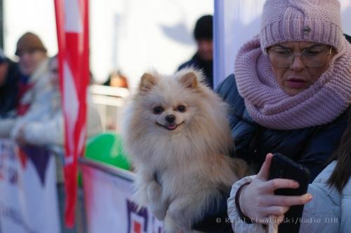 radio dtr 40 uliczny bieg sylwestrowy w trzebnicy 201